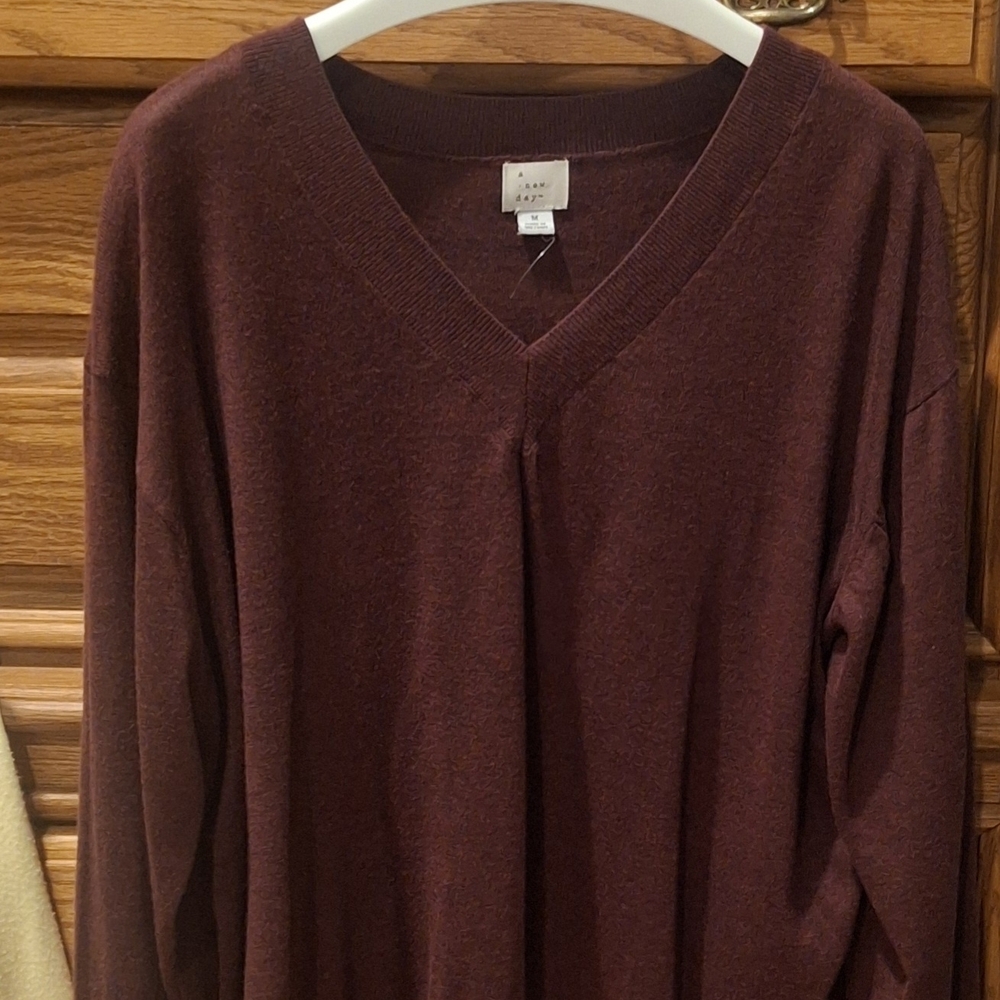 A New Day V-Neck Sweater in Deep Burgundy
